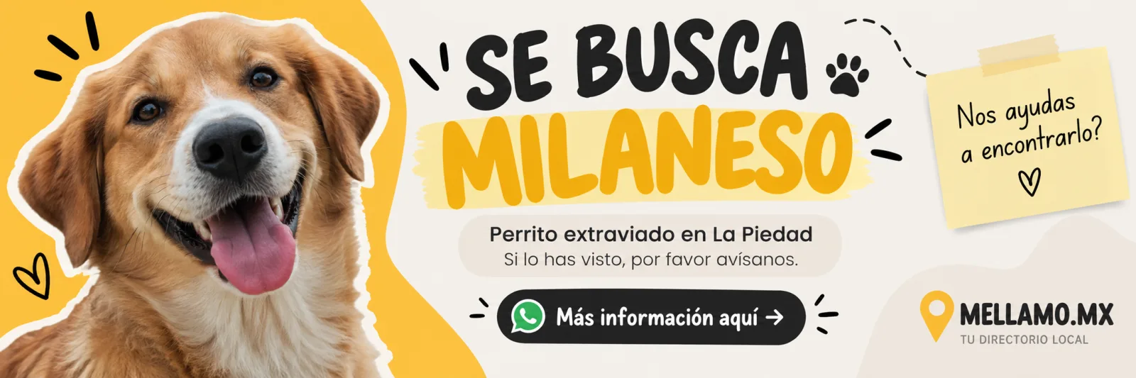 Anuncio de Buscamos perrito